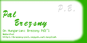 pal brezsny business card